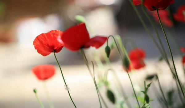 男人的暗恋都在幻想什么