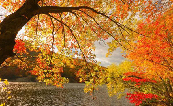 分手和好了回不到以前的感觉