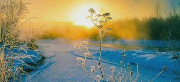 男人喜欢你却不主动联系你