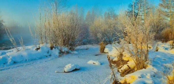 男人喜欢你却不主动联系你