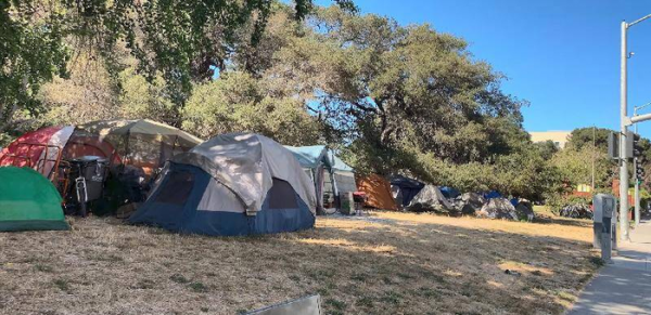 历史上真实的丧尸事件