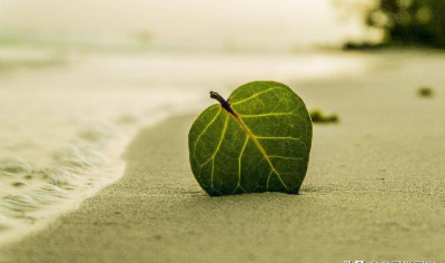 败家子的父母下场 什么样的家庭出现败家子及化解方法