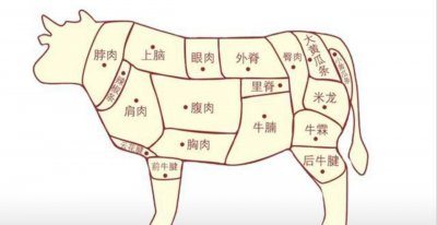 牛肉哪个部位最嫩 牛肉哪个地方的肉最嫩最好吃