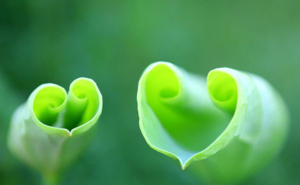 如何让女朋友回心转意