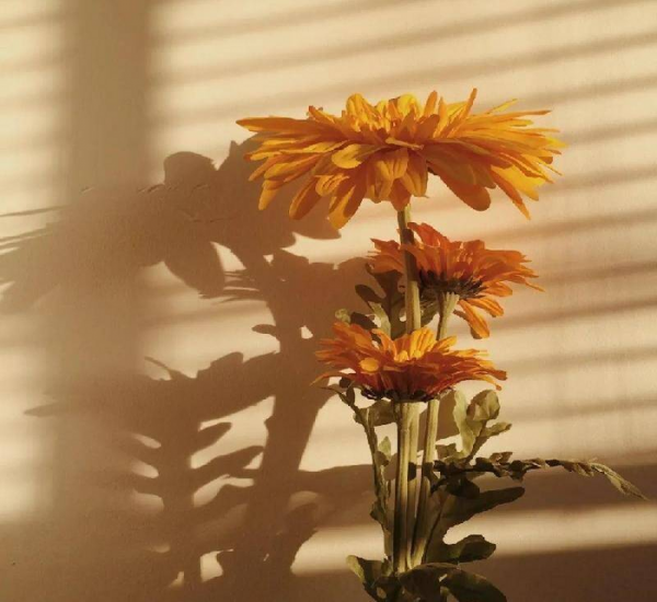 男生疯狂暗示却不直接表白