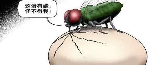 怎样才能挽回一个伤透心的老婆