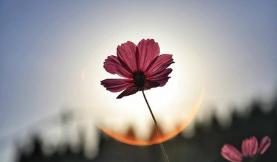 异地恋怎么维持感情不会变淡 异地恋感情进入平淡期怎么办