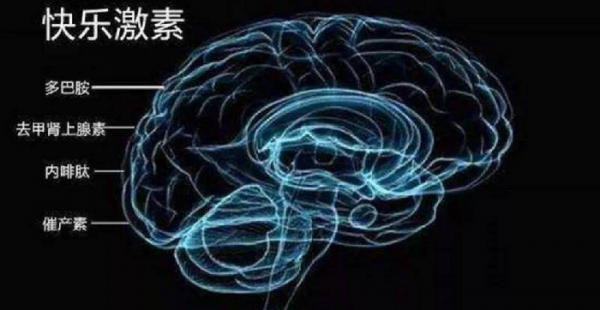 新鲜感能维持多久