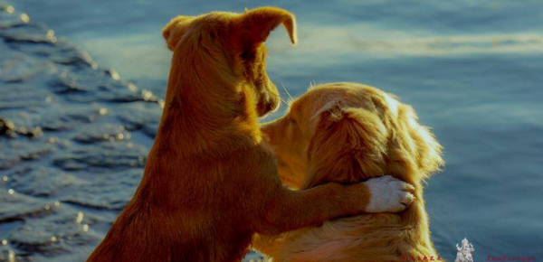 新鲜感能维持多久