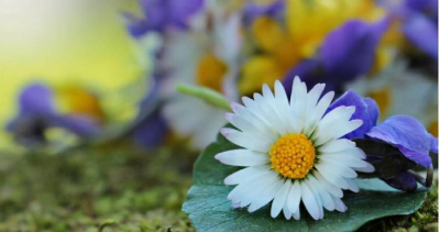 5个方面让男人对你死心塌地 让男人死心塌地的绝招