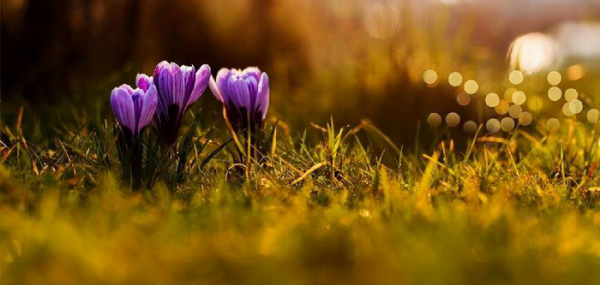 5个方面让男人对你死心塌地