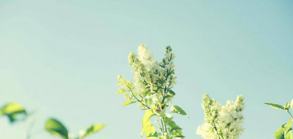 5个方面让男人对你死心塌地