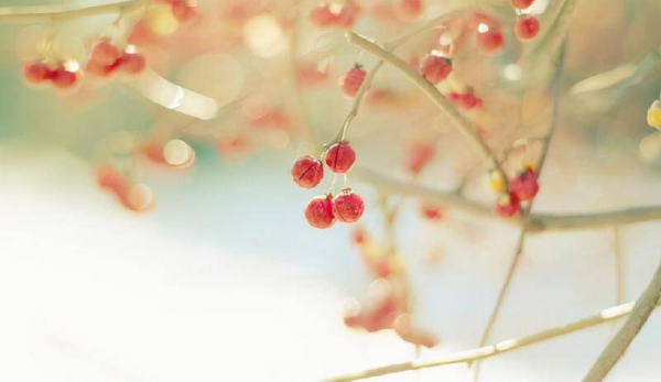 5个方面让男人对你死心塌地