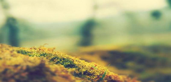 5个方面让男人对你死心塌地