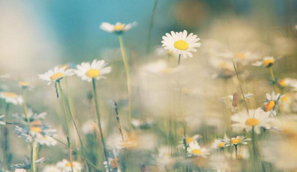 5个方面让男人对你死心塌地