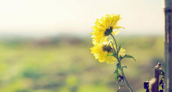 5个方面让男人对你死心塌地