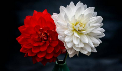 如何判断自己是否喜欢一个人 怎么判断自己心动了