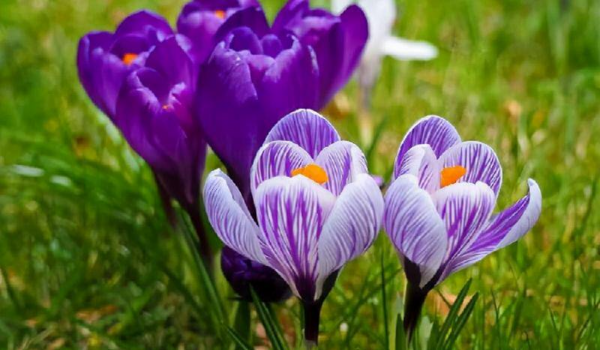 如何判断自己是否喜欢一个人