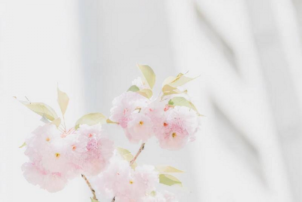 如何判断自己是否喜欢一个人