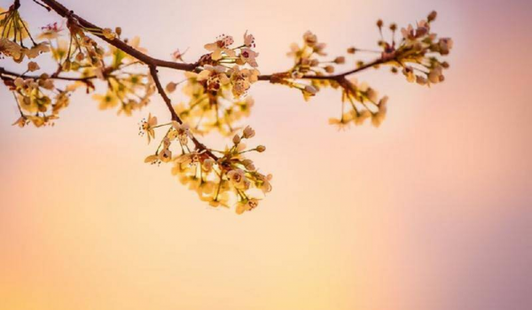 如何判断自己是否喜欢一个人