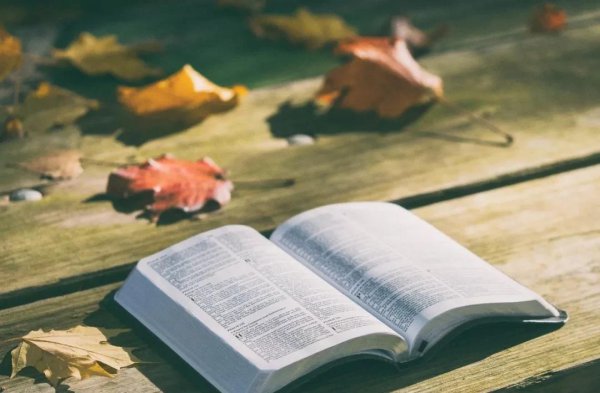 最影响人生的十本书