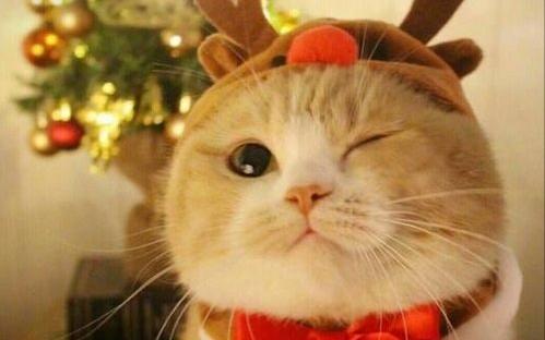 十大二战最变态的武器