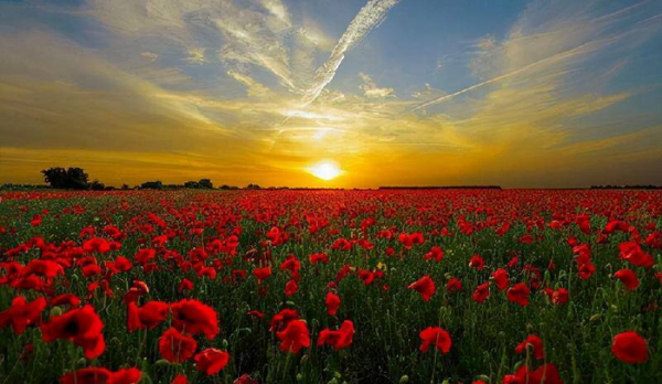 跟女朋友异地恋怎么维持感情