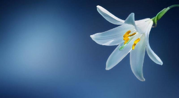 跟女朋友异地恋怎么维持感情