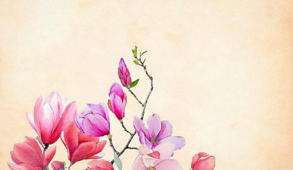 跟女朋友异地恋怎么维持感情