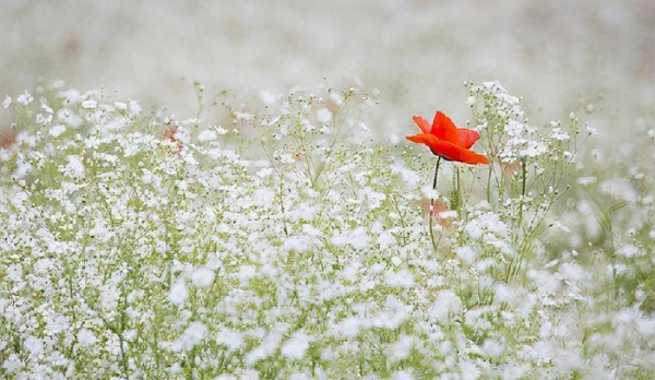 跟女朋友异地恋怎么维持感情
