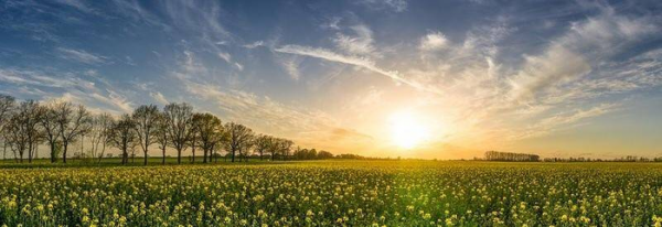 跟女朋友异地恋怎么维持感情
