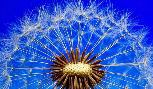 跟女朋友异地恋怎么维持感情