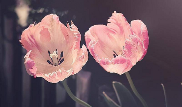 跟女朋友异地恋怎么维持感情