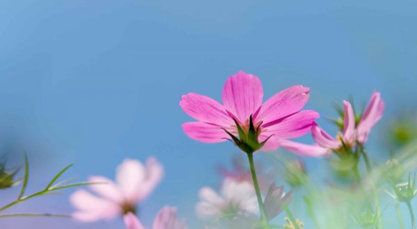 男朋友铁了心要分手还能挽回不