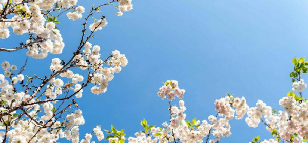 男朋友铁了心要分手还能挽回不