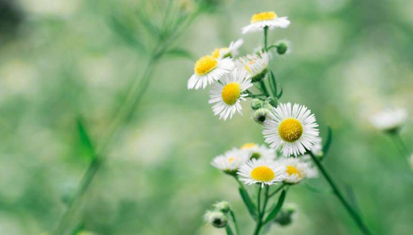 男朋友铁了心要分手还能挽回不