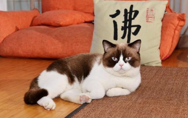 感觉对方喜欢自己是不是错觉