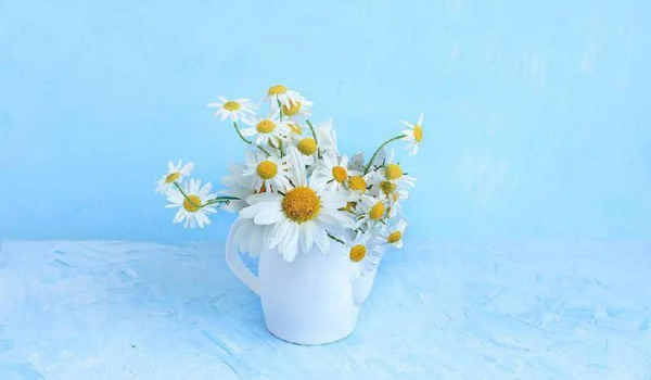 如何判断一个人是否喜欢自己