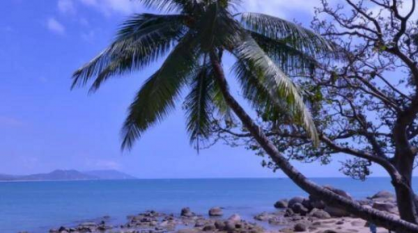 中国面积最大的省份是新疆还是西藏