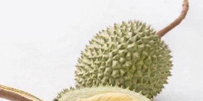 什么榴莲品种最好吃 最顶级的榴莲品种的排名