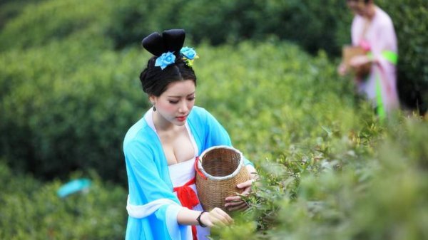 新三从四德指的是什么意思