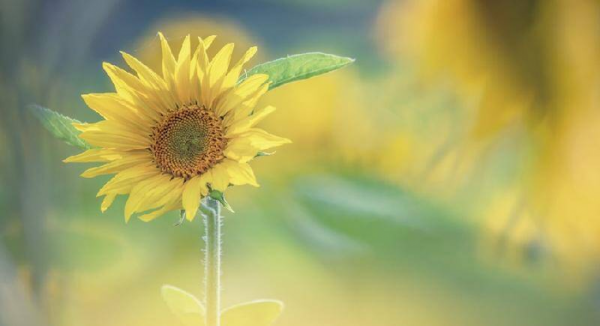 如何让一个男生越来越喜欢你