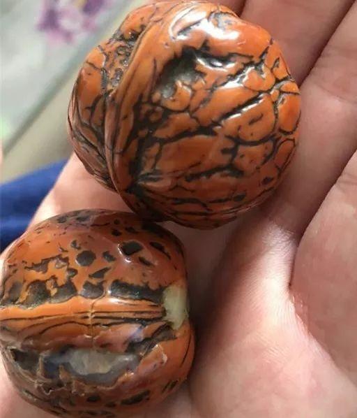 盘了40年的普通核桃值多少钱