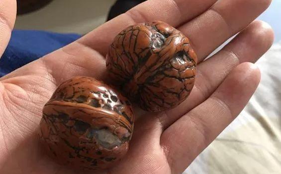 盘了40年的普通核桃值多少钱