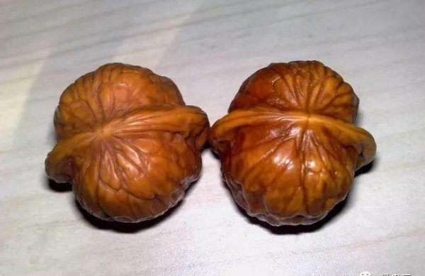 盘了40年的普通核桃值多少钱