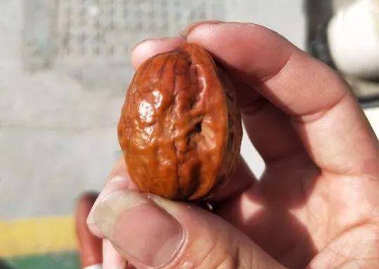 盘了40年的普通核桃值多少钱