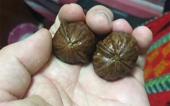 盘了40年的普通核桃值多少钱