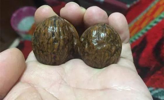 盘了40年的普通核桃值多少钱