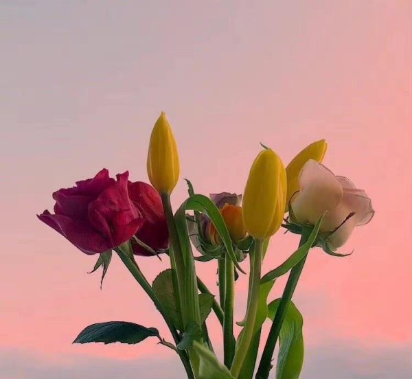 老婆精神出轨后最佳处理方式