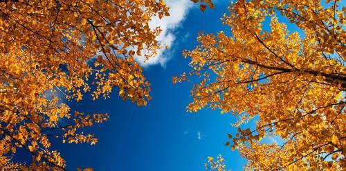 秋分节气的含义是什么